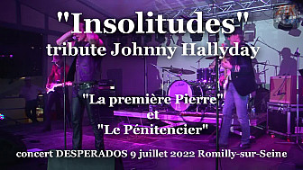 TV Locale Romilly-sur-Seine - Extrait du concert de 'Insolitudes' tribute Johnny Hallyday au festival HDC Desperados